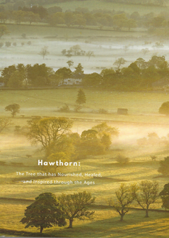 HawthornCover_CommercialPress
