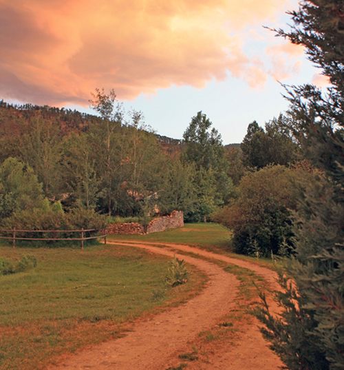 A summer's eve at Dark Acres