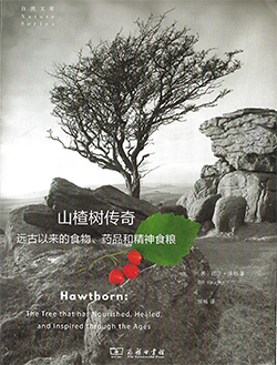 Hawthorn Dust Cover 